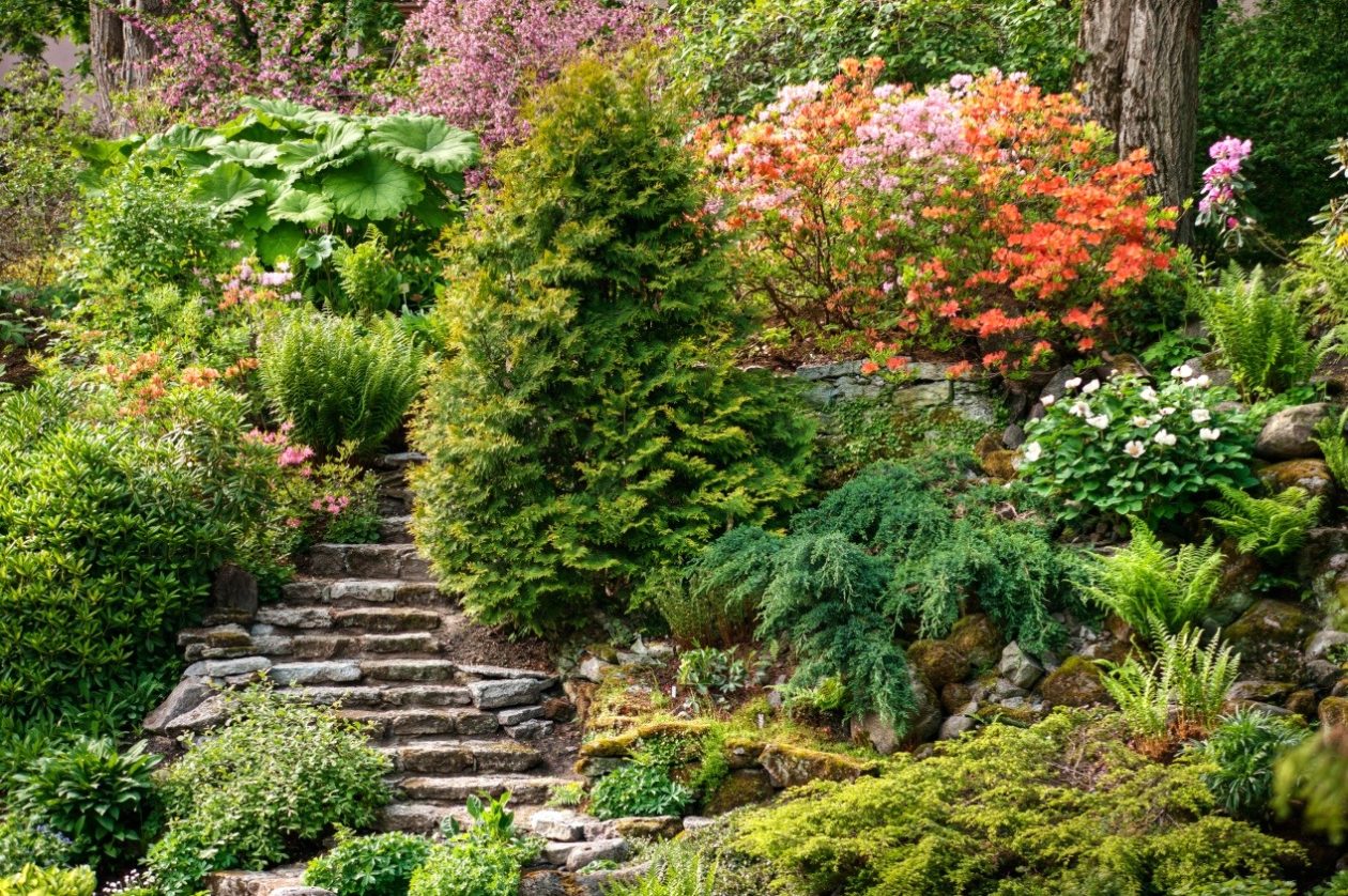 5 conseils pratiques pour l’entretien de son jardin